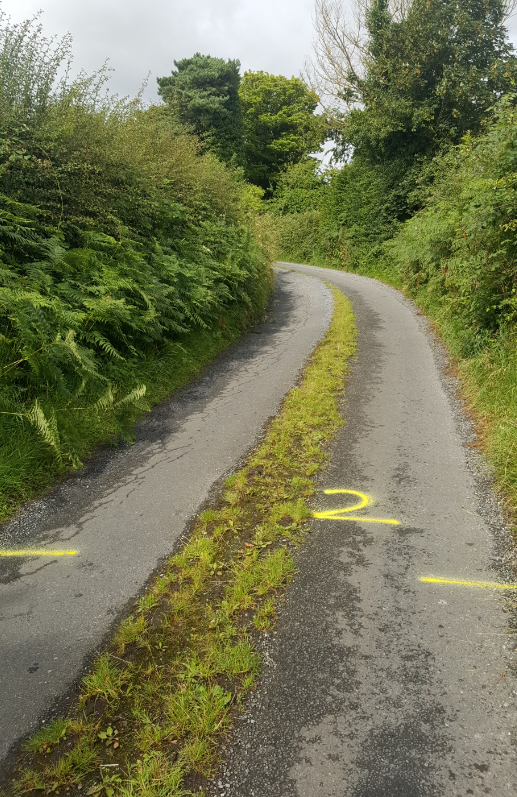 The two mile mark on the boreen section